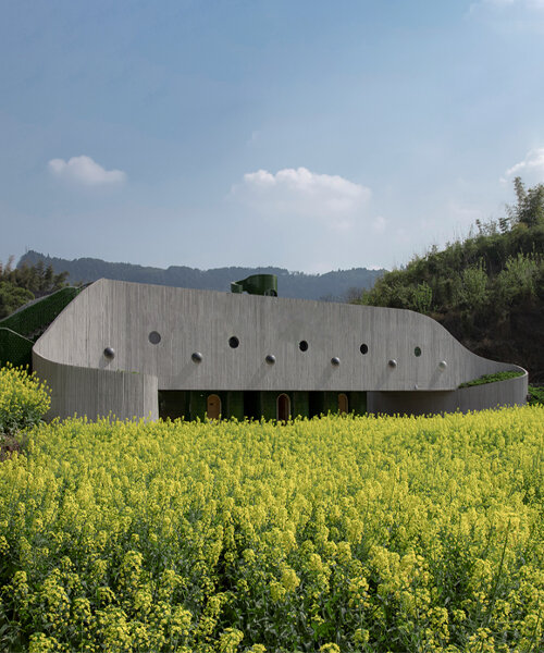 folded agricultural complex doubles as bridge and public toilet in rural china